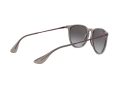 Ray-Ban Erika Solbriller RB 4171 6513/8G