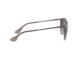 Ray-Ban Erika Solbriller RB 4171 6513/8G