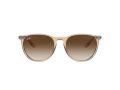 Ray-Ban Erika Solbriller RB 4171 6514/13