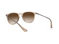 Ray-Ban Erika Solbriller RB 4171 6514/13