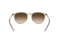 Ray-Ban Erika Solbriller RB 4171 6514/13
