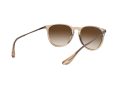 Ray-Ban Erika Solbriller RB 4171 6514/13