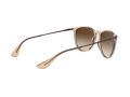 Ray-Ban Erika Solbriller RB 4171 6514/13