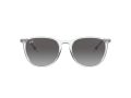Ray-Ban Erika Solbriller RB 4171 6516/11
