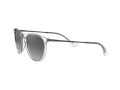 Ray-Ban Erika Solbriller RB 4171 6516/11