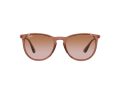 Ray-Ban Erika Solbriller RB 4171 6590/13