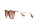 Ray-Ban Erika Solbriller RB 4171 6590/13