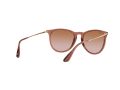 Ray-Ban Erika Solbriller RB 4171 6590/13