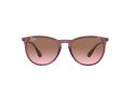 Ray-Ban Erika Solbriller RB 4171 6591/14