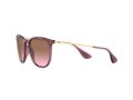 Ray-Ban Erika Solbriller RB 4171 6591/14
