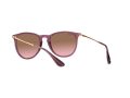Ray-Ban Erika Solbriller RB 4171 6591/14