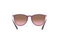 Ray-Ban Erika Solbriller RB 4171 6591/14