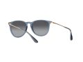Ray-Ban Erika Solbriller RB 4171 6592/T3