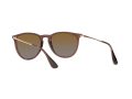 Ray-Ban Erika Solbriller RB 4171 6593/T5