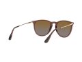 Ray-Ban Erika Solbriller RB 4171 6593/T5