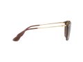 Ray-Ban Erika Solbriller RB 4171 6593/T5