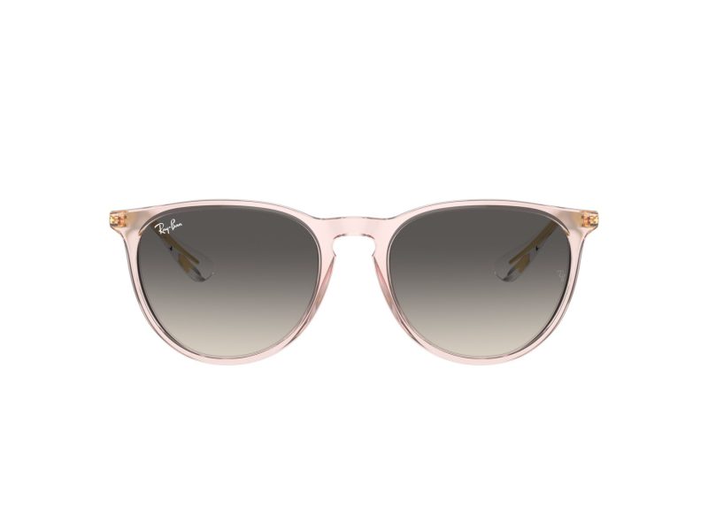 Ray-Ban Erika Solbriller RB 0RB4171 674211