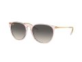 Ray-Ban Erika Solbriller RB 0RB4171 674211