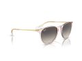 Ray-Ban Erika Solbriller RB 0RB4171 674211