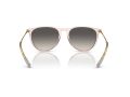 Ray-Ban Erika Solbriller RB 0RB4171 674211