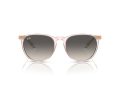 Ray-Ban Erika Solbriller RB 0RB4171 674211