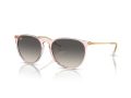 Ray-Ban Erika Solbriller RB 0RB4171 674211