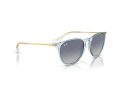 Ray-Ban Erika Solbriller RB 0RB4171 67434L