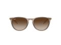 Ray-Ban Erika Solbriller RB 0RB4171 674413