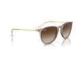 Ray-Ban Erika Solbriller RB 0RB4171 674413