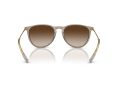 Ray-Ban Erika Solbriller RB 0RB4171 674413