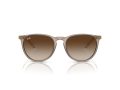 Ray-Ban Erika Solbriller RB 0RB4171 674413