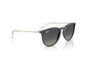 Ray-Ban Erika Solbriller RB 4171 681311