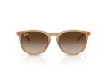 Ray-Ban Erika Solbriller RB 4171 681413