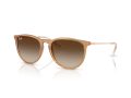 Ray-Ban Erika Solbriller RB 4171 681413
