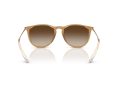 Ray-Ban Erika Solbriller RB 4171 681413