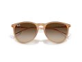 Ray-Ban Erika Solbriller RB 4171 681413