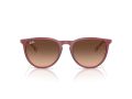 Ray-Ban Erika Solbriller RB 4171 6815A5
