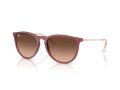 Ray-Ban Erika Solbriller RB 4171 6815A5