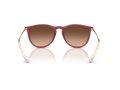Ray-Ban Erika Solbriller RB 4171 6815A5