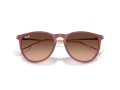 Ray-Ban Erika Solbriller RB 4171 6815A5