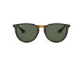 Ray-Ban Erika Solbriller RB 4171 710/71