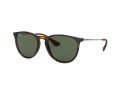 Ray-Ban Erika Solbriller RB 4171 710/71