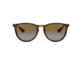 Ray-Ban Erika Solbriller RB 4171 710/T5