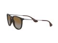 Ray-Ban Erika Solbriller RB 4171 710/T5