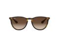 Ray-Ban Erika Solbriller RB 4171 865/13