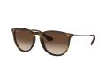 Ray-Ban Erika Solbriller RB 4171 865/13
