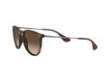 Ray-Ban Erika Solbriller RB 4171 865/13