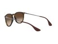 Ray-Ban Erika Solbriller RB 4171 865/13