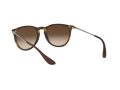Ray-Ban Erika Solbriller RB 4171 865/13