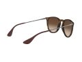 Ray-Ban Erika Solbriller RB 4171 865/13